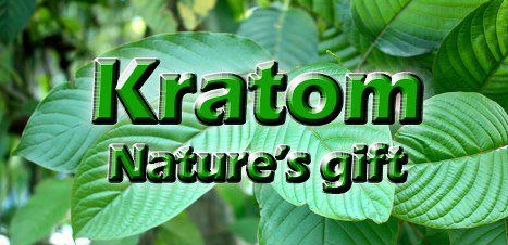 Kratom - Natures Gift